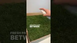 Fresh Patch - REAL grass for dogs 🌱