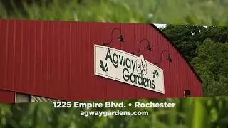 Turfline 2019 Agway 15
