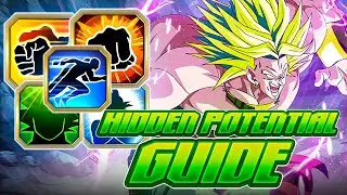 HIDDEN POTENTIAL GUIDE: HOW TO BUILD EZA INT LEGENDARY SSJ BROLY HIDDEN POTENTIAL [Dokkan Battle]