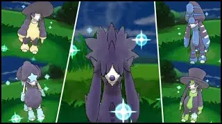 [Live] Shiny Furfrou after 1,070REs plus 5 other shines in Pok&eacute;mon X DTQ#2