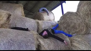 KRADNUTIE TRIEDNEJ KNIHY | SPŠE PREŠOV | IV.F