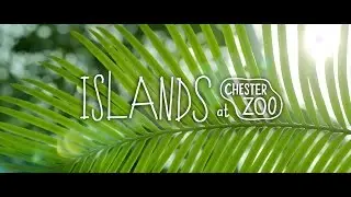 Islands at Chester Zoo - Extraordinary discoveries, every day