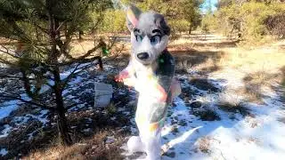 Rockus decorates his last Christmas tree!