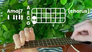 coyote theory - this side of paradise // ukulele tutorial