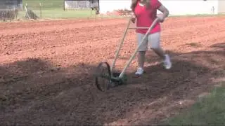 Planting Mustard Greens - Hoss Planter April 2012