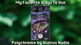 My Favorite Ways to Use Polychrome by Walrus Audio