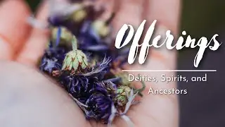 Offerings - Cultivating A Good Relationship