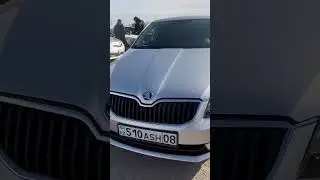 Skoda Octavia #авто #automobile #автоиздубай #авторынок #топ #автомобильнаторгах #обзор #автосити