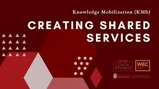 Creating Shared Services with Milwaukee Succeeds | Knowledge Mobilization Flash Talk