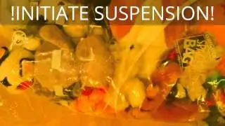 Cryopreservation of Animals through Cryogenic Suspension