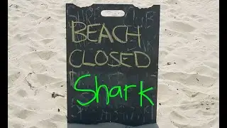 Sharks at Blueys Beach?! | Holiday Montage