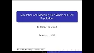 Simulation and Modeling Blue Whale and Krill Populations