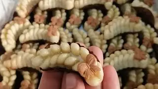 سحر اللوز في حلوة راقية