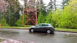 Council Crest Park - Portland, Oregon 4k HD #portland #ambient #rainsounds