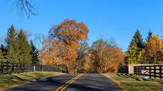 Wisconsin Rustic Road 29-Lake Geneva Fall Drive on Snake Road 2024