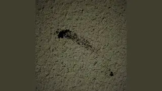 Smudged Ink