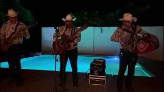 La casa de ladrillo (cover)