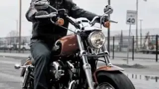 2011 New Harley-Davidson Sportster XL 1200 Custom