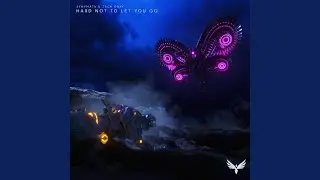 Hard Not To Let You Go