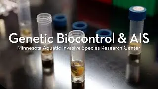 Genetic Biocontrol Solutions for Aquatic Invasive Species