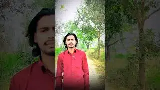 Parindo Ko Bhi Udhaya Nhi Karte 🤍&hearts;️🕊️#subscribemychannel#new#sad#deep#line#supportme#guys#🙏🤍&hearts;️🕊️
