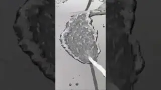 Car wax test water beading test Swippyy Carnauba Ceramic Wax check our instagram @swippyynl