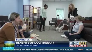 Be Mindful: Benefits of dog therapy