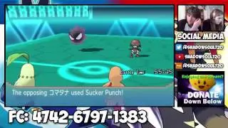 LITTLE CUP FFA w/ AppleCode, Nite_Rose & VoiidPlayzit
