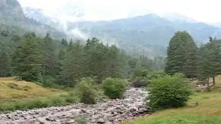 Selva de Oza