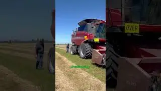This Simple Test Saves Tons of Wheat. #farming #harvest #wheat #fyp #foryou