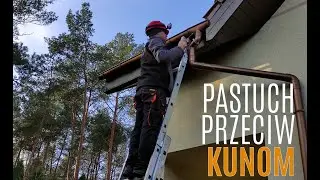 Pastuch elektryczny na kuny montaż na budynku - jak pozbyć się kuny, kuna na dachu, sposób na kunę