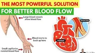 💗 The Most Powerful, All-Natural Solution For Improving Your Blood Flow Circulation