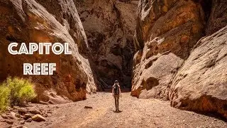 Capitol Reef National Park | Hiking Grand Wash & Cassidy Arch Trails