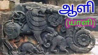 Unique Views-Yali-The different animal which is unbelievable one