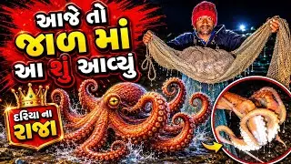 આજે તો રાત્રે ગયા બંધણે ને આવી કાઈક આવી અલગ મચ્છી#fish#bigfish#nonveg#દરીયાનારાજા