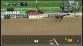 Repole Stable&rsquo;s Fearless Won The Brooklyn G2 $400K ridden Luis Saez.