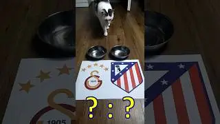Galatasaray vs Atletico Madrid Prediction ⚽️ Oracle Cat&rsquo;s UCL Pick! #galatasaray