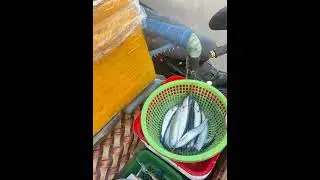 Fresh fish from the street vendor using side car #viral #angmgamisteryongliwanag