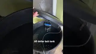Cheap diy bait tank