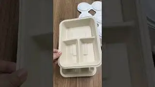 Compostable 3 Compartment Paper Plates Disposable Divided Lunch Trays, Biodegradable Bagasse Plates