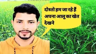 दोस्तो आज हम गय थे।😂 अपना आलू का खेत देखने।🇨🇮 माजा आ गया देख कर।🔥#sanojgirivlog