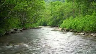 Calming Flowing Water Soundscape &ndash; Relax, Focus, Sleep Better