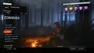 HIGH ROUND ATTEMPT: Random zombies map