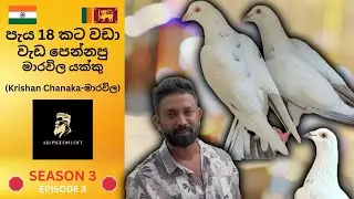පලවෙනි පාරට එලි බහින ක්‍රිශාගේ #nagarkovil  සත්තු සෙට් එක🚀🇮🇳  🛑Part  03