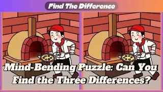 [ Spot 3 Differences #18 ] Test your ability to pay attention #findthedifference