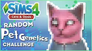 Patch-Quilt Zombie Cat?! 🎲 Random Pet Genetics Challenge!!