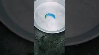 Ink vs Leaf Experiment | Cool science experiment|#shorts #experiment