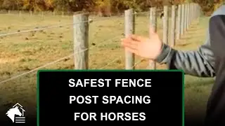 🐴 Wood Fence Posts 🌲 What's the Safest Fence Post Spacing for Horses?