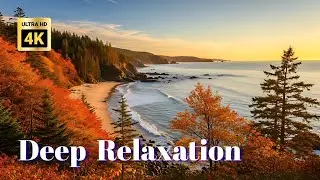 Ultimate Nature Relaxation 4K – Forest, Water & Mountain Calm