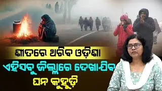 Cold Wave Returns to Odisha: Dense Fog Alert For Odisha's These District: Manorama Mohanty Reaction